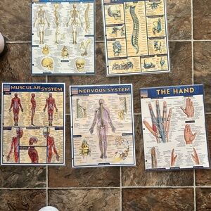 Selling all 5 together